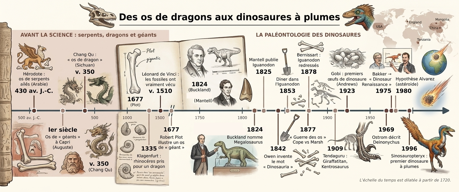 Frise chronologique des grandes étapes de l'histoire de la paléontologie des dinosaures, des os de serpents ailés d'Hérodote au Ve siècle av. J.-C. à la révolution des dinosaures à plumes en 1996